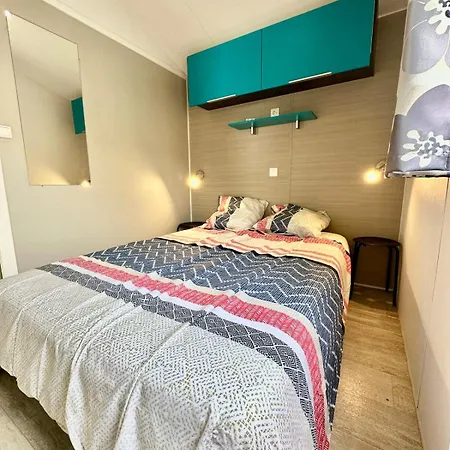 3 Pour 6 Pers Avec Climatisation 3 Etoiles Holiday home Samoens